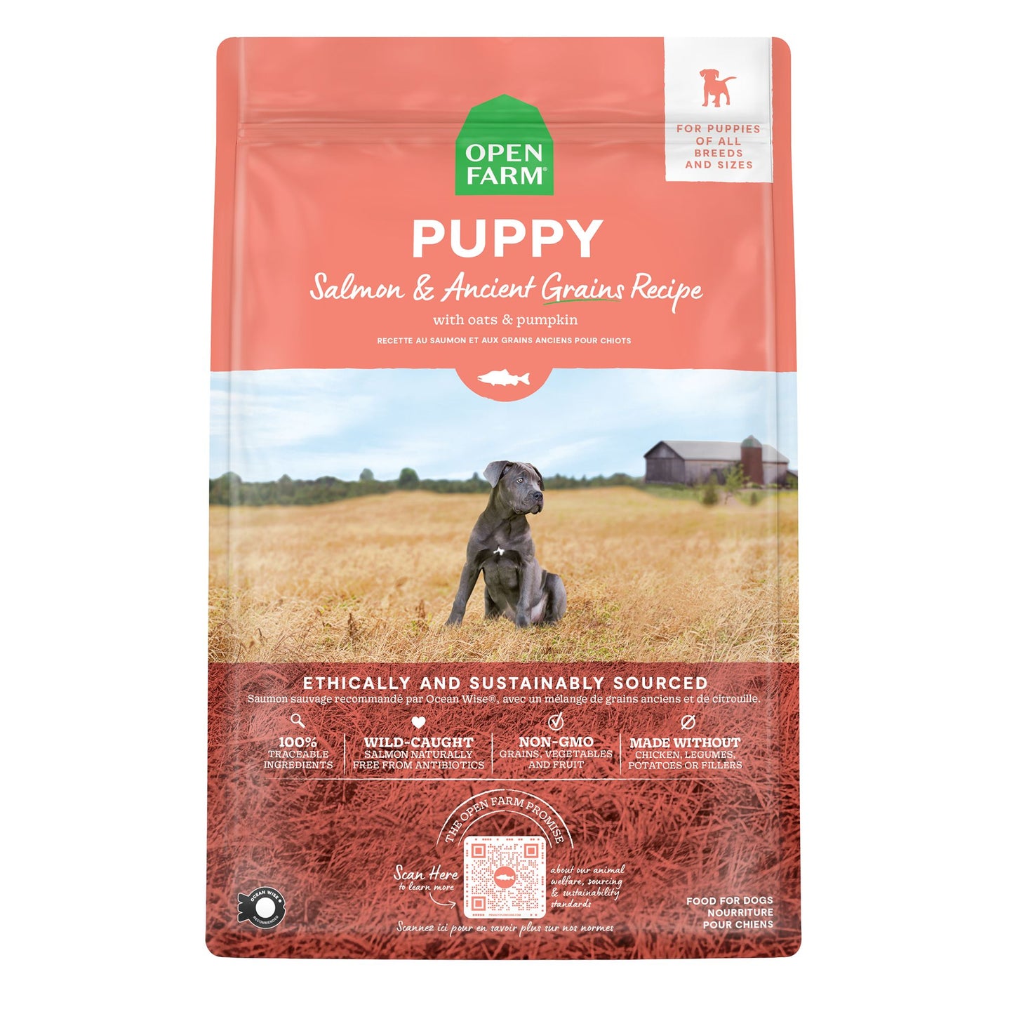 OPEN FARM Salmon and Ancient Grain Dry Puppy Food