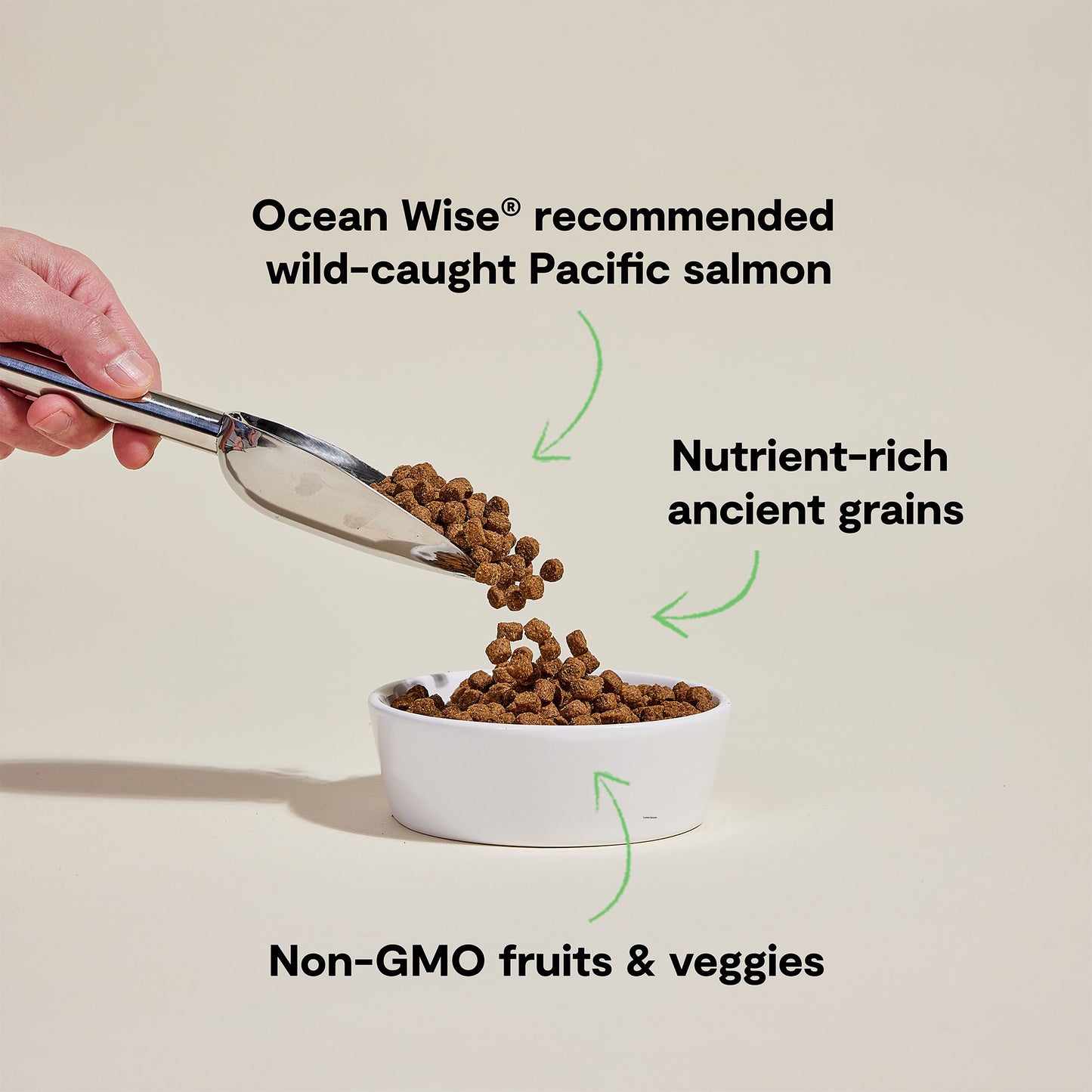 OPEN FARM Wild Caught Salmon and Ancient Grains Dry Dog Food