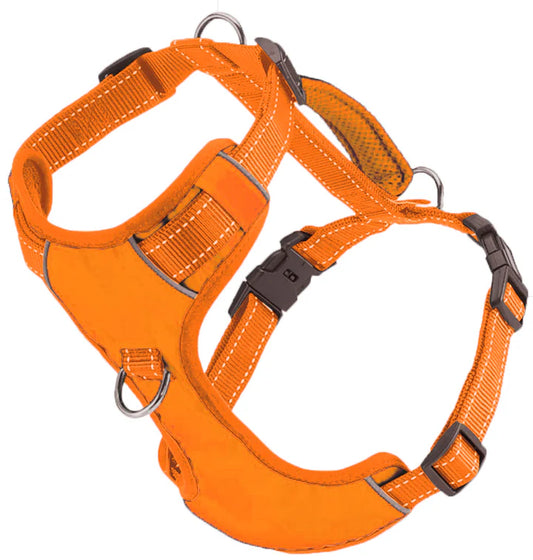 Baydog Orange Chesapeake Harness