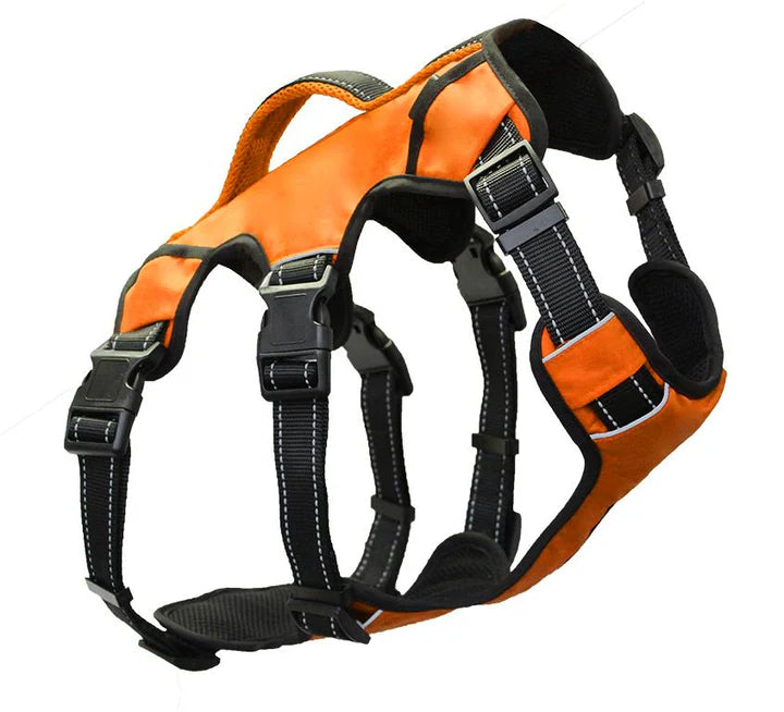 Baydog Saranac Orange Backpack