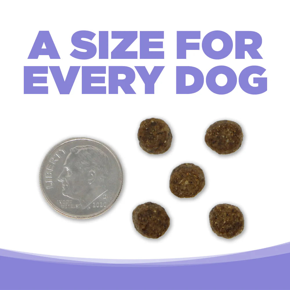 PureVita Grain Free Lamb & Pumpkin Puppy Food