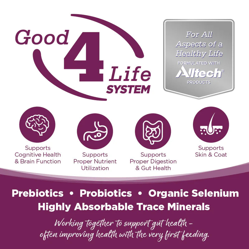 PureVita Grain Free Pork & Blueberry Dog Food