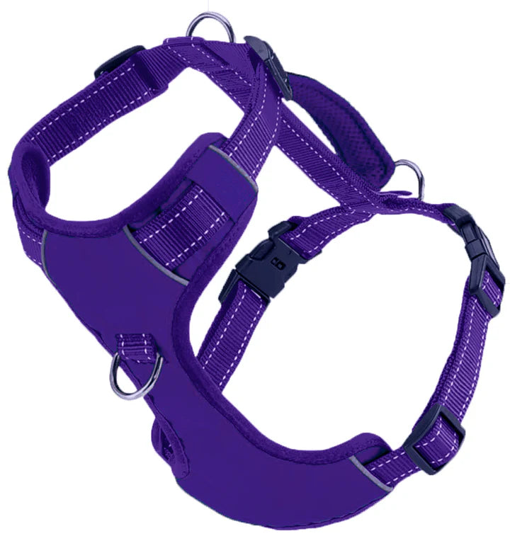 Baydog Purple Chesapeake Harness
