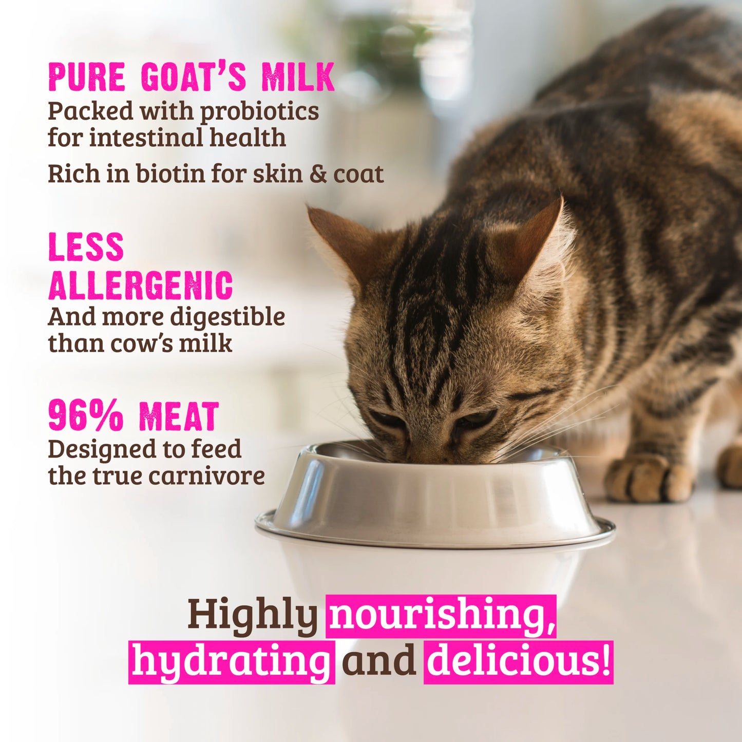 RAWZ 96% Chicken, Chicken Liver & Goat's Milk Pâté Canned Cat Food