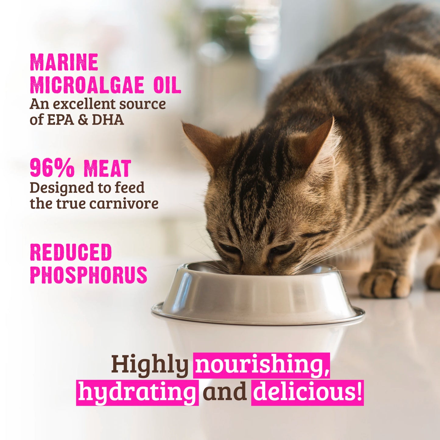 RAWZ Reduced Phosphorus Tuna & Salmon Pate Canned Food for Cats