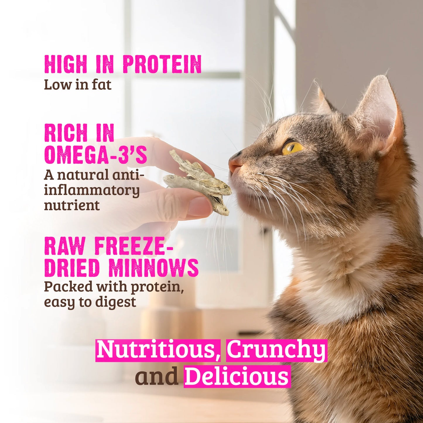 RAWZ Freeze Dried Minnows Crunchy Cat Treat