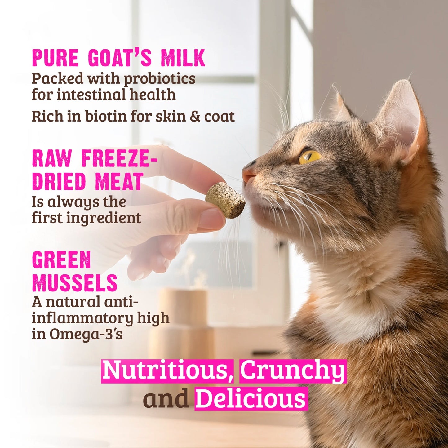 RAWZ Freeze Dried Wild Caught Salmon, Goat's Milk & Green Mussels Crunchy Cat Treats