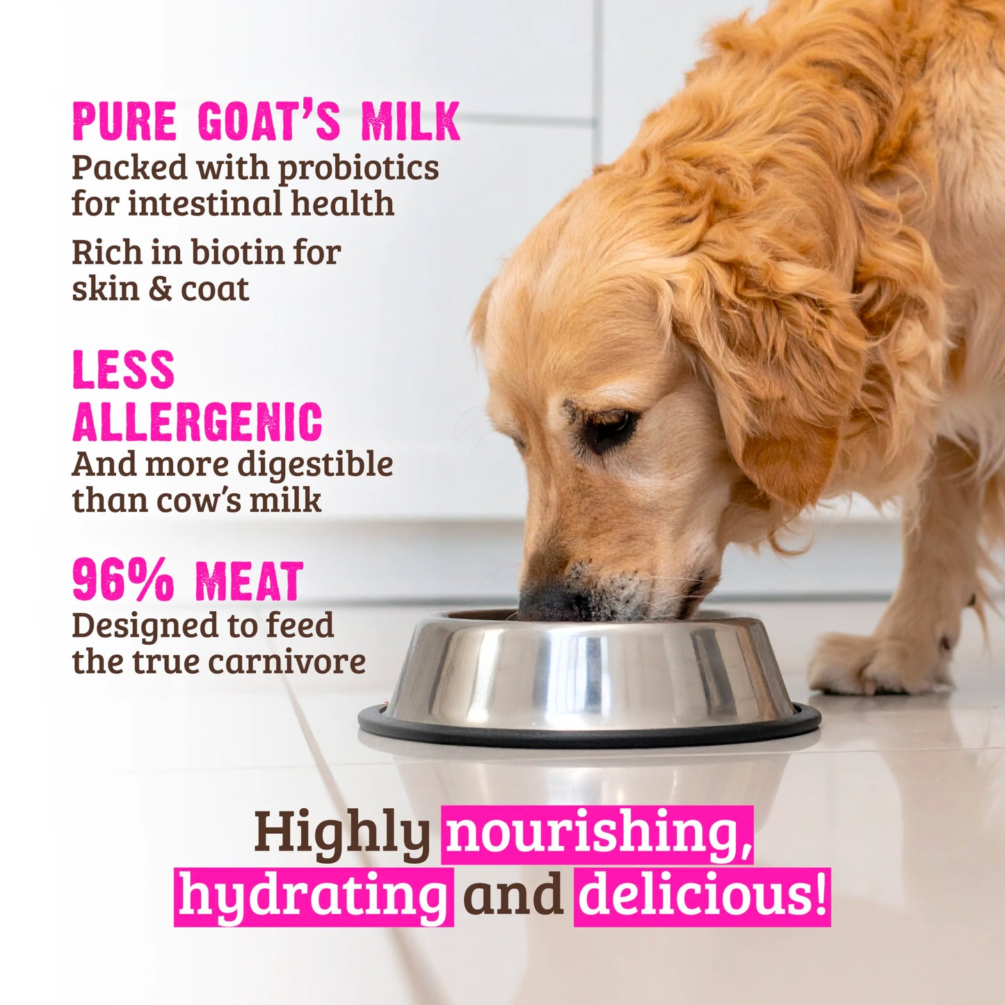 RAWZ 96% Chicken, Chicken Liver & Goat's Milk Pate Canned Food for Dogs