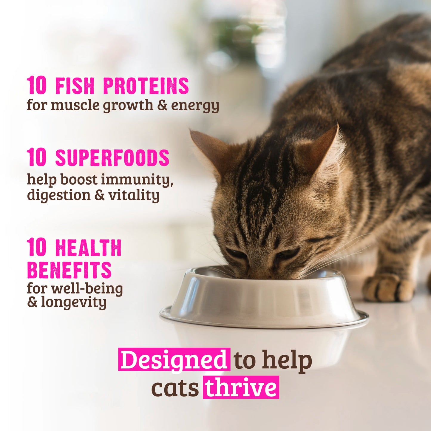 RAWZ 10 Essentials Fish & Dehydrated Fish Dry Cat Food