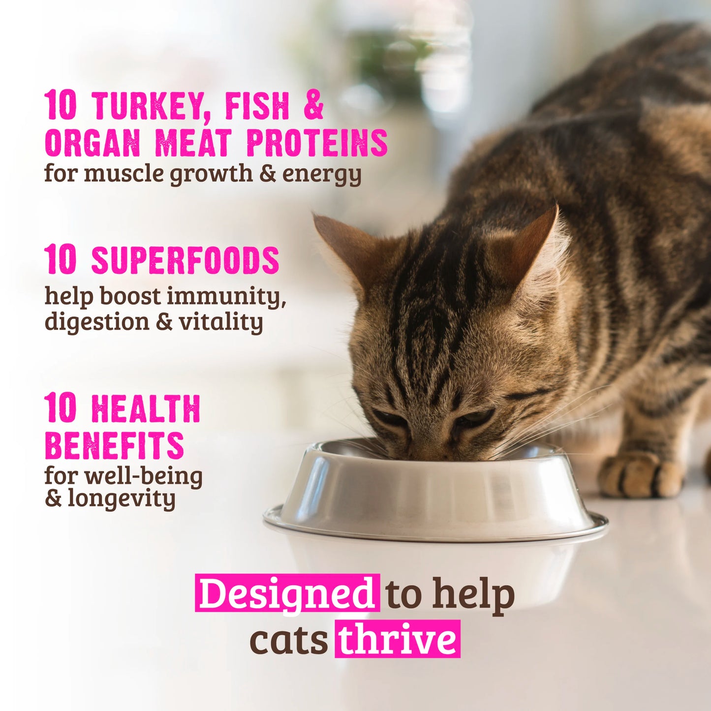 RAWZ 10 Essentials Turkey, Salmon & Dehydrated Whitefish Dry Cat Food