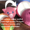 Hugglehounds Matty Mail Carrier Ruff-Tex Dog Toy