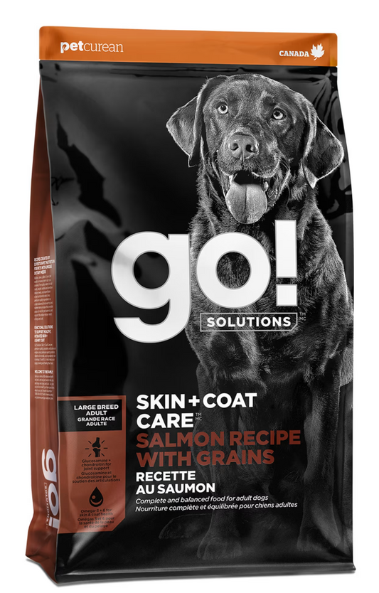 Go! Solutions Skin + Coat Care Large Breed Adult Salmon Recipe With Grains for Dogs