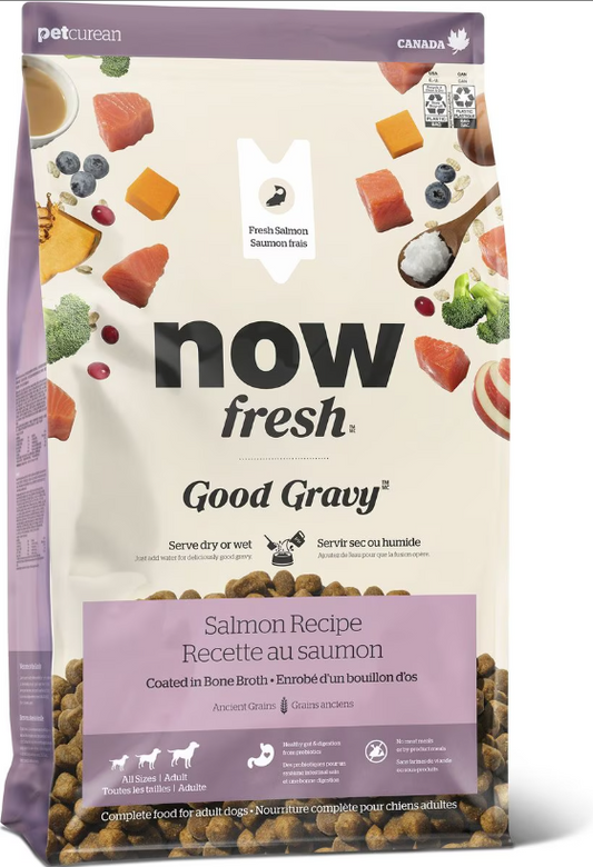 Now Fresh Good Gravy Adult Salmon With Ancient Grains for Dogs