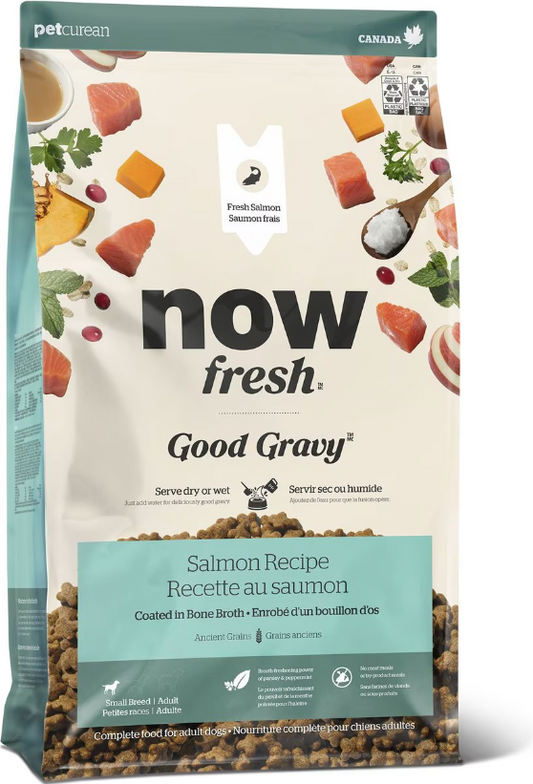 Now Fresh Good Gravy Small Breed Adult Salmon With Ancient Grains Recipe for Dogs