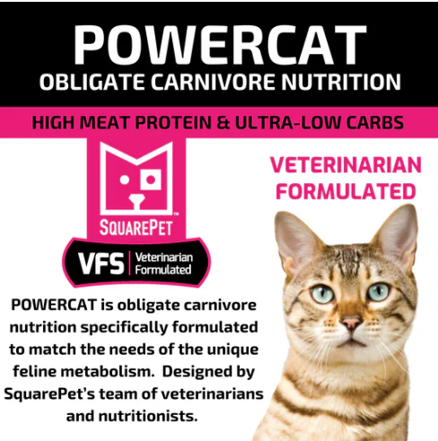 SquarePet VFS Powercat Herring and Salmon Dry Cat Food