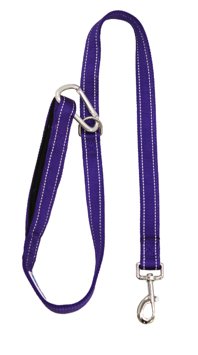 Baydog Purple Hudson Leash