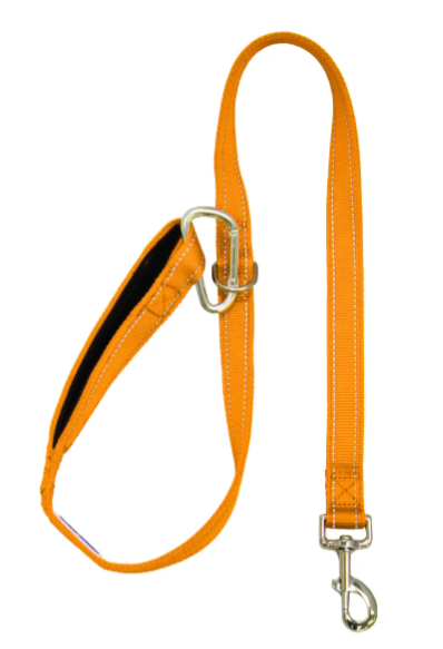 Baydog Orange Hudson Leash