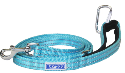 Baydog Teal Pensacola Leash