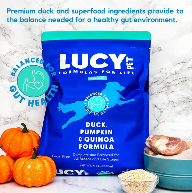Lucy Pet Duck Pumpkin & Quinoa for Dogs