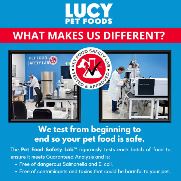 Lucy Pet Duck Pumpkin & Quinoa for Dogs