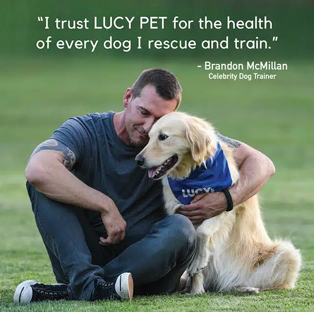 Lucy Pet Duck Pumpkin & Quinoa for Dogs