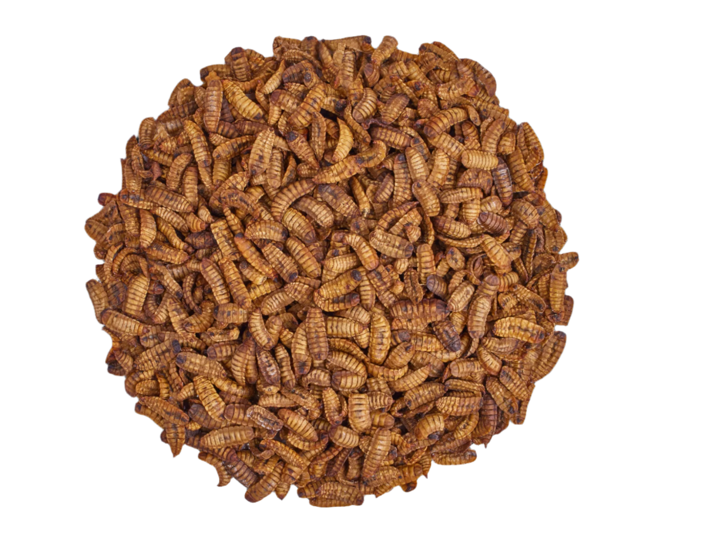 Scratch and Peck Dried Grubs