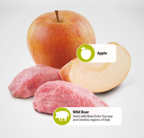 Farmina Natural & Delicious Prime Wild Boar and Apple Adult Canned Dog Food