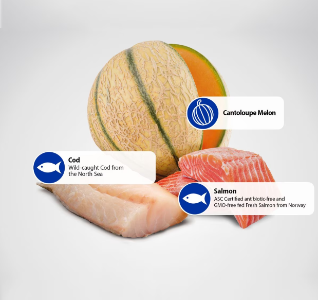 Farmina Natural & Delicious Ocean Salmon, Cod and Cantaloupe Medium & Maxi Adult Dry Dog Food