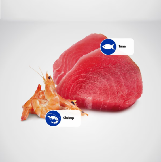 Farmina Natural & Delicious Ocean Tuna and Shrimp Canned Adult Canned Cat Food