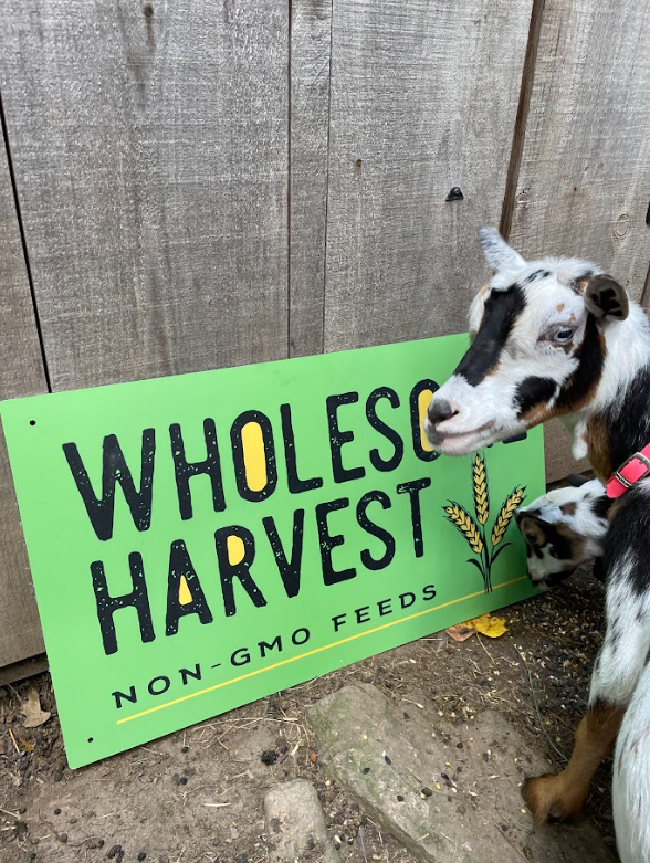 Wholesome Harvest Non-GMO Goat Feed 16% For growing and mature goats