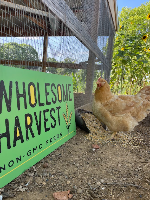 Wholesome Harvest Non-GMO Soy-Free Corn Free Whole Grain Layer Blend 16% For laying hens or ducks