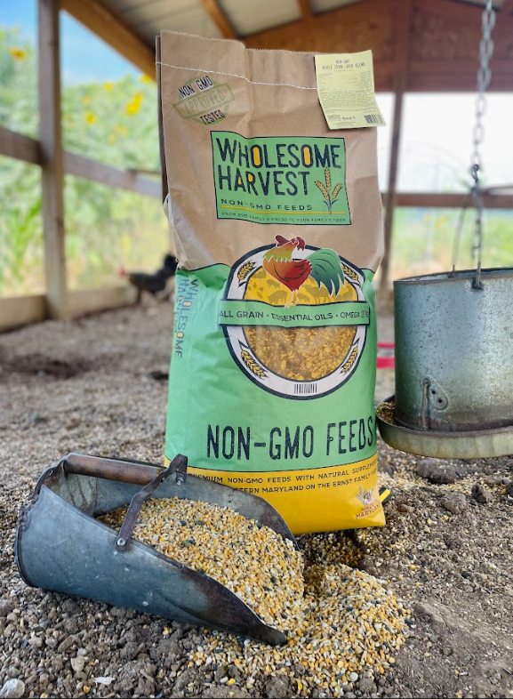 Wholesome Harvest Non-GMO Whole Grain Layer Blend 16% For laying hens or ducks