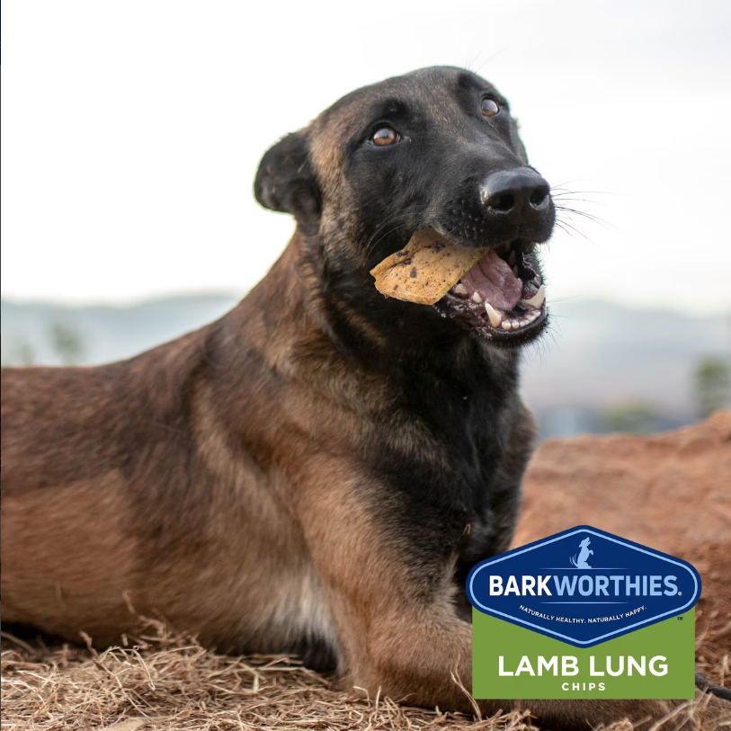Barkworthies Lamb Lung Chips For Dogs