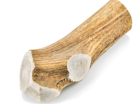 Barkworthies Elk Antler Whole For XLarge Dogs Single