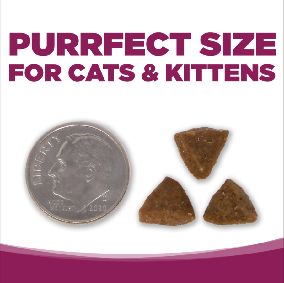 Nutrisource Cat and Kitten Chicken and Rice Formula