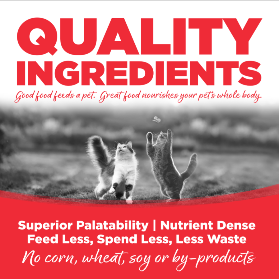 Nutrisource Cat Grain Free Ocean Select Entrée