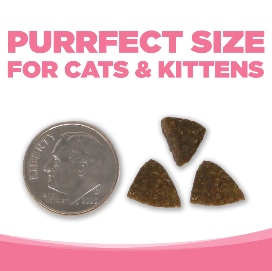 PureVita Salmon and Peas Small Bites Dry Dog Food