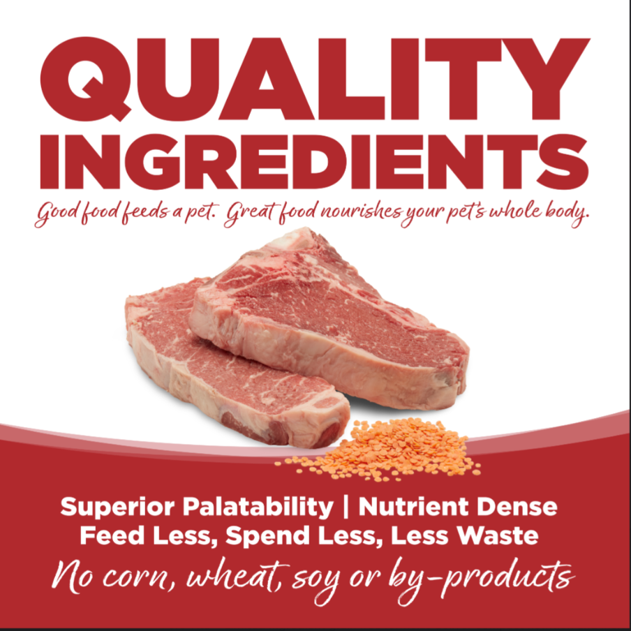 PureVita Grain Free Beef and Red Lentils Dry Dog Food