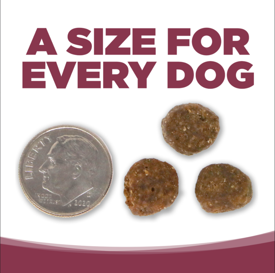 PureVita Salmon and Potato Dry Dog Food