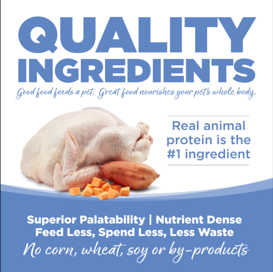PureVita Grain Free Turkey and Sweet Potato Dry Dog Food