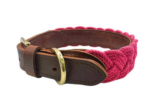 Baydog Pink Lily Seaside Collar