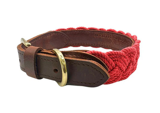 Baydog Clifford Red Seaside Collar