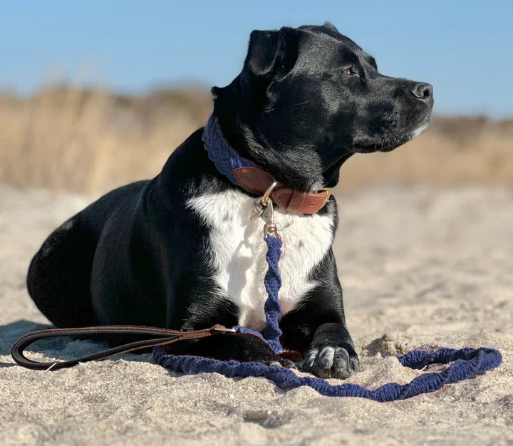 Baydog Navy Blue Seaside Leash
