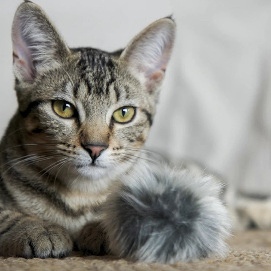 HuggleHounds HuggleKats Cat Toy Fur Ballies