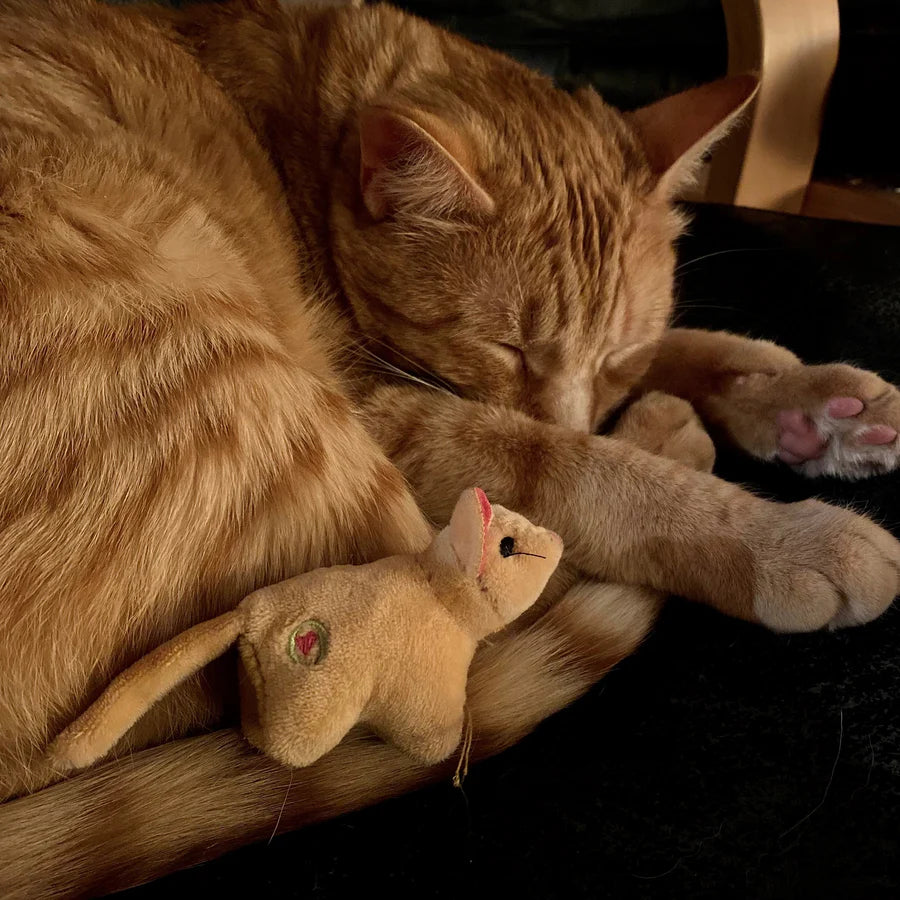 HuggleHounds HuggleKats Cat Toy Wee Squooshie Mice