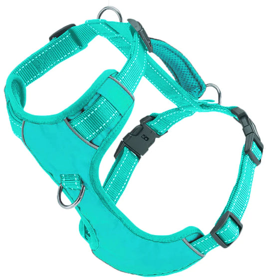 Baydog Sea Foam Chesapeake Harness