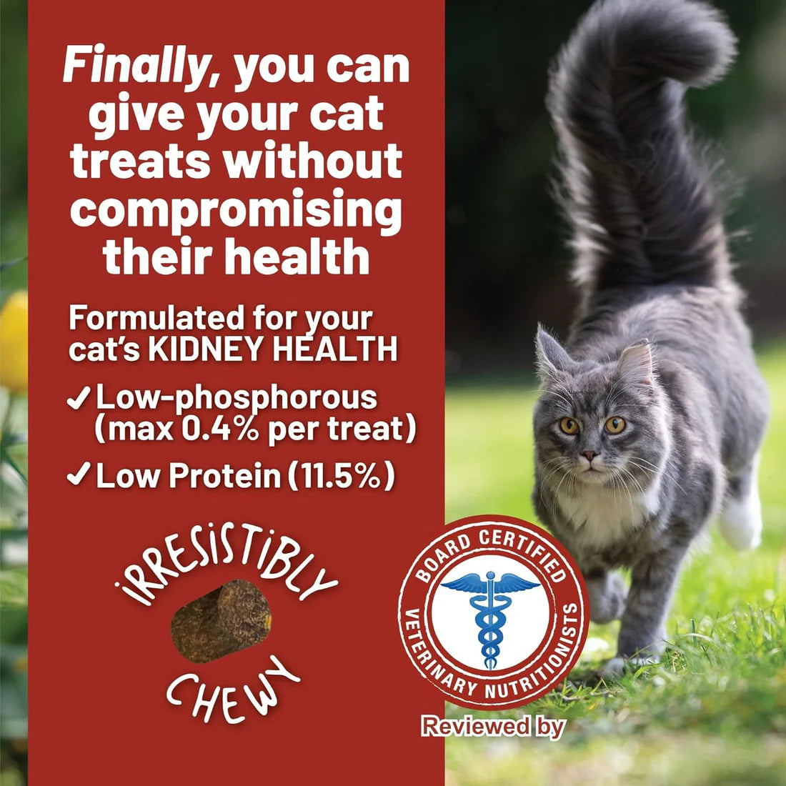 Dave's Pet Food Renal Friendly Semi-Moist Sweet Potato Cat Treats