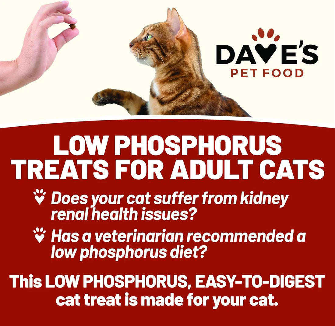 Dave's Pet Food Renal Friendly Semi-Moist Sweet Potato Cat Treats
