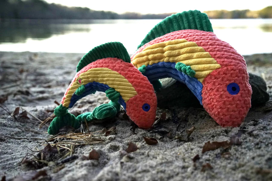 HuggleHounds Raucous Rainbow Trout Knottie Dog Toy