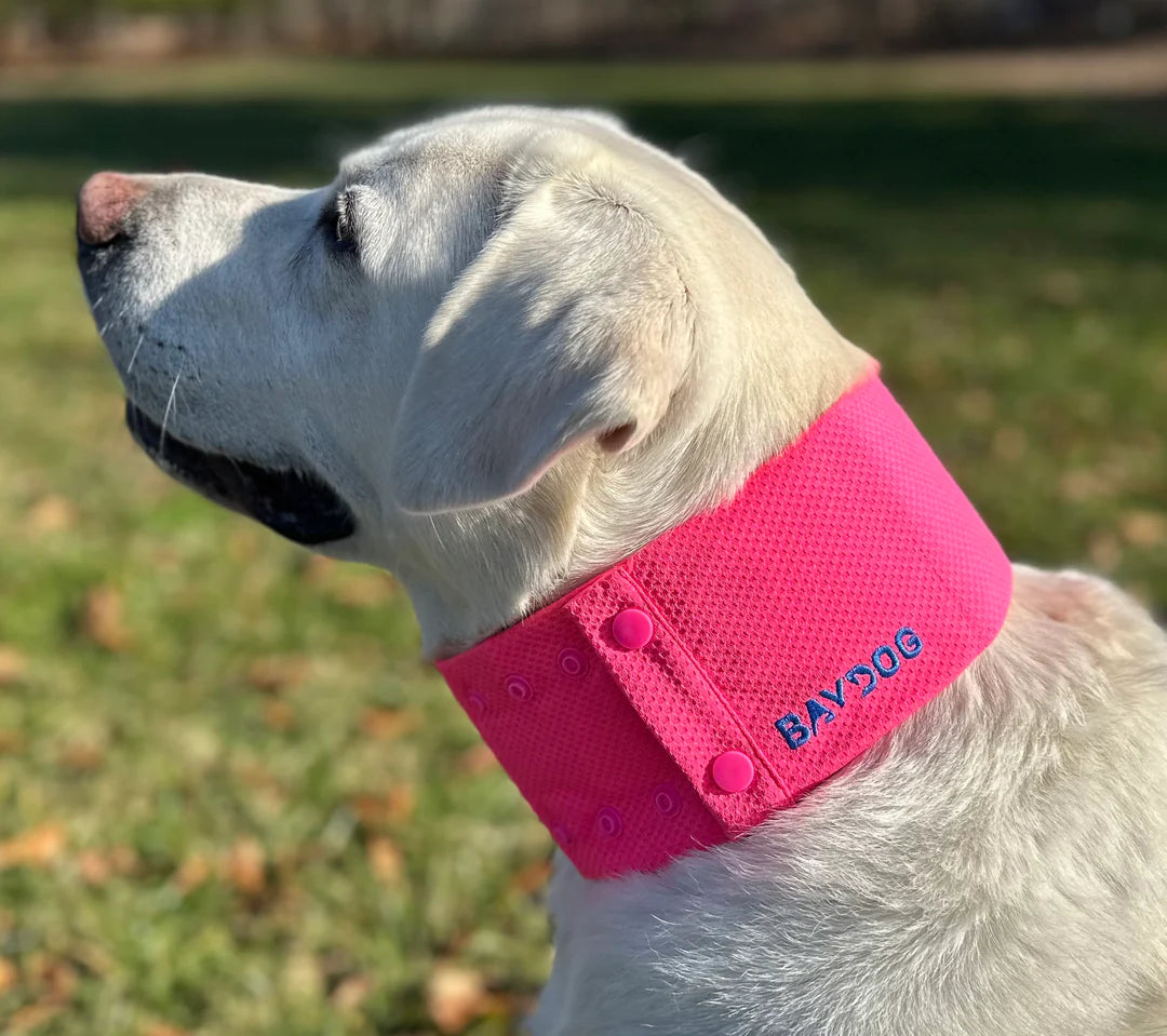 Baydog Arctic Bay Pink Cooling Collar for Dogs